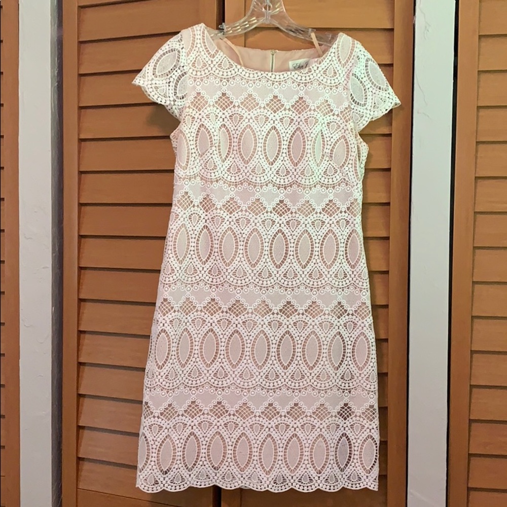 White Lace Eliza J Dress